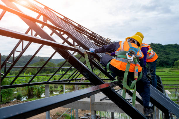 Best Roof Repair Services  in Brownsville, KY