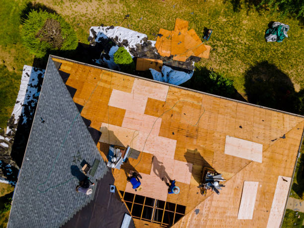 Best Local Roofing Companies  in Brownsville, KY