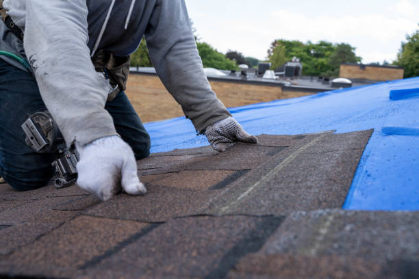 Best Slate Roofing Contractor  in Brownsville, KY