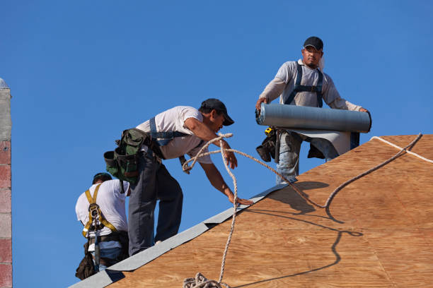Best Roof Leak Repair  in Brownsville, KY