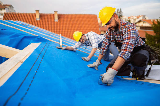 Best Roof Replacement Cost  in Brownsville, KY
