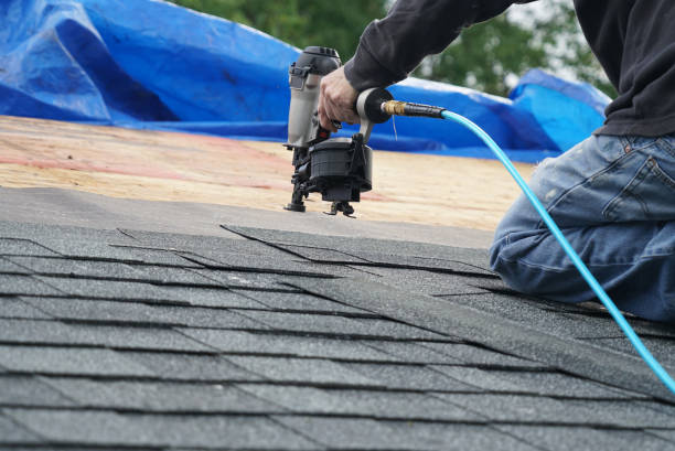 Best Storm Damage Roof Repair  in Brownsville, KY