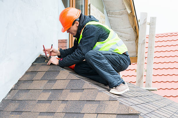 Best Flat Roof Repair Services  in Brownsville, KY