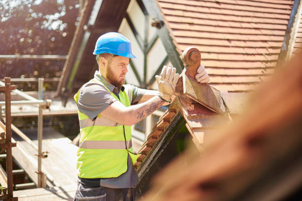 Best Metal Roofing Contractor  in Brownsville, KY